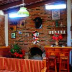 Tequis (15)
