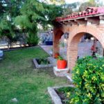 Tequis (20)