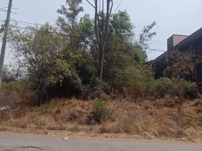 Bosques (1)