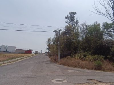 Bosques (6)