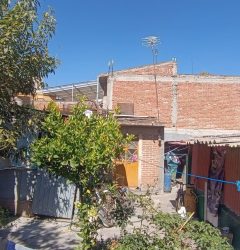 Chicon (1)