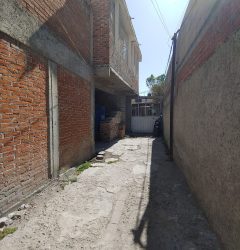 Chicon (20)