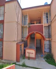 PICHON (2)