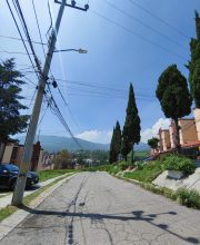 PICHON (22)